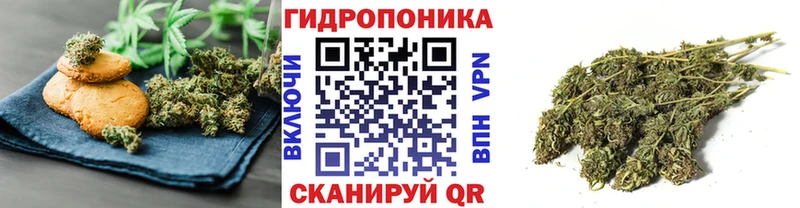 Cannafood марихуана  Великий Устюг 