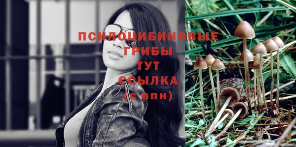 MDMA Premium VHQ Слюдянка
