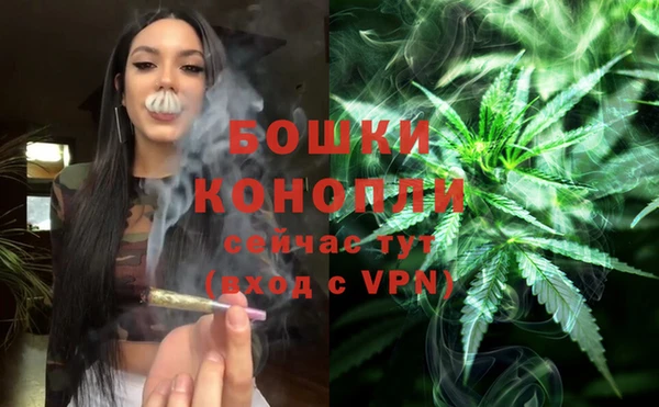 твердый Белокуриха