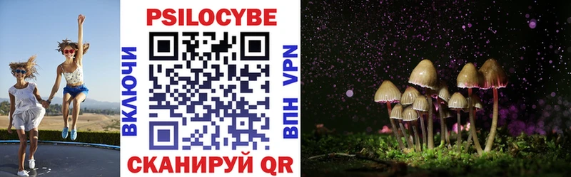 наркота  Великий Устюг  Галлюциногенные грибы Psilocybine cubensis 